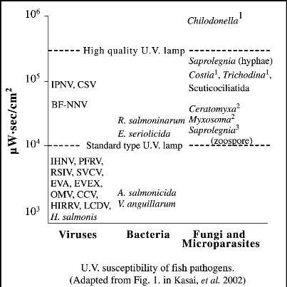 thumbnail for publication: Fish Health Management Considerations in Recirculating Aquaculture Systems—Part 2: Pathogens